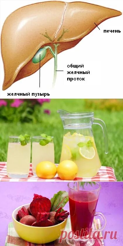 Сок для очищения желчного пузыря. Соки для печени. Продукты для очищения желчного пузыря. Очищение печени и желчного пузыря.