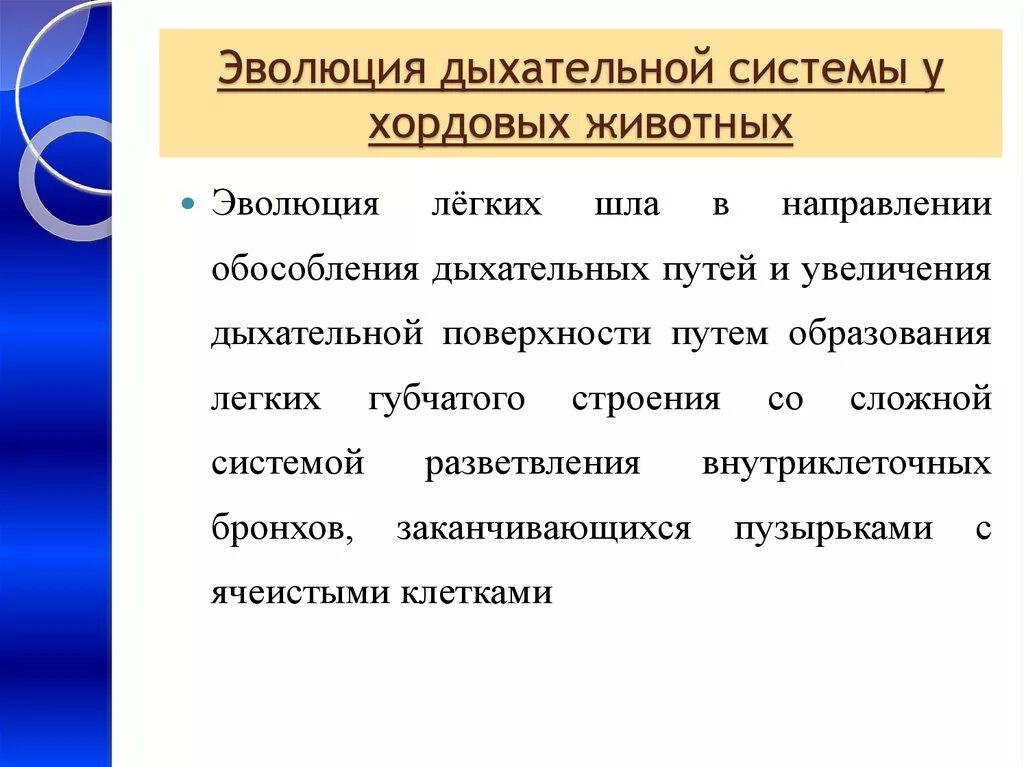 Легочное дыхание у хордовых. Эволюционные преобразования дыхательной системы млекопитающих. Эволюция дыхательной системы хордовых. Эволюция органов дыхания хордовых животных. Эволюция дыхательной системы позвоночных.