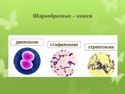 Коки примеры