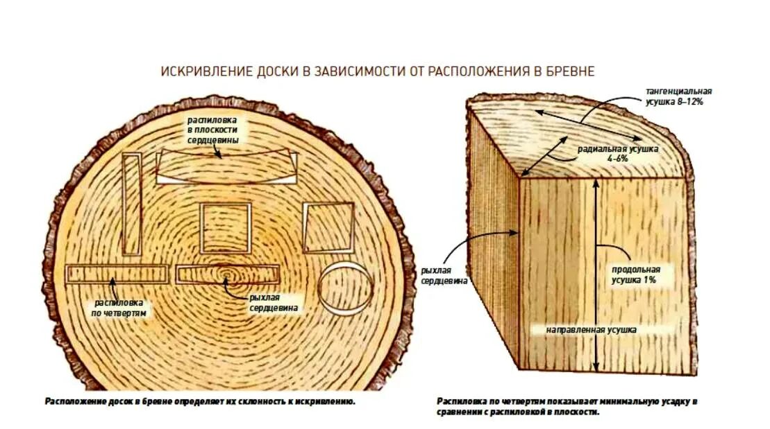 Поперечный разлом бревна