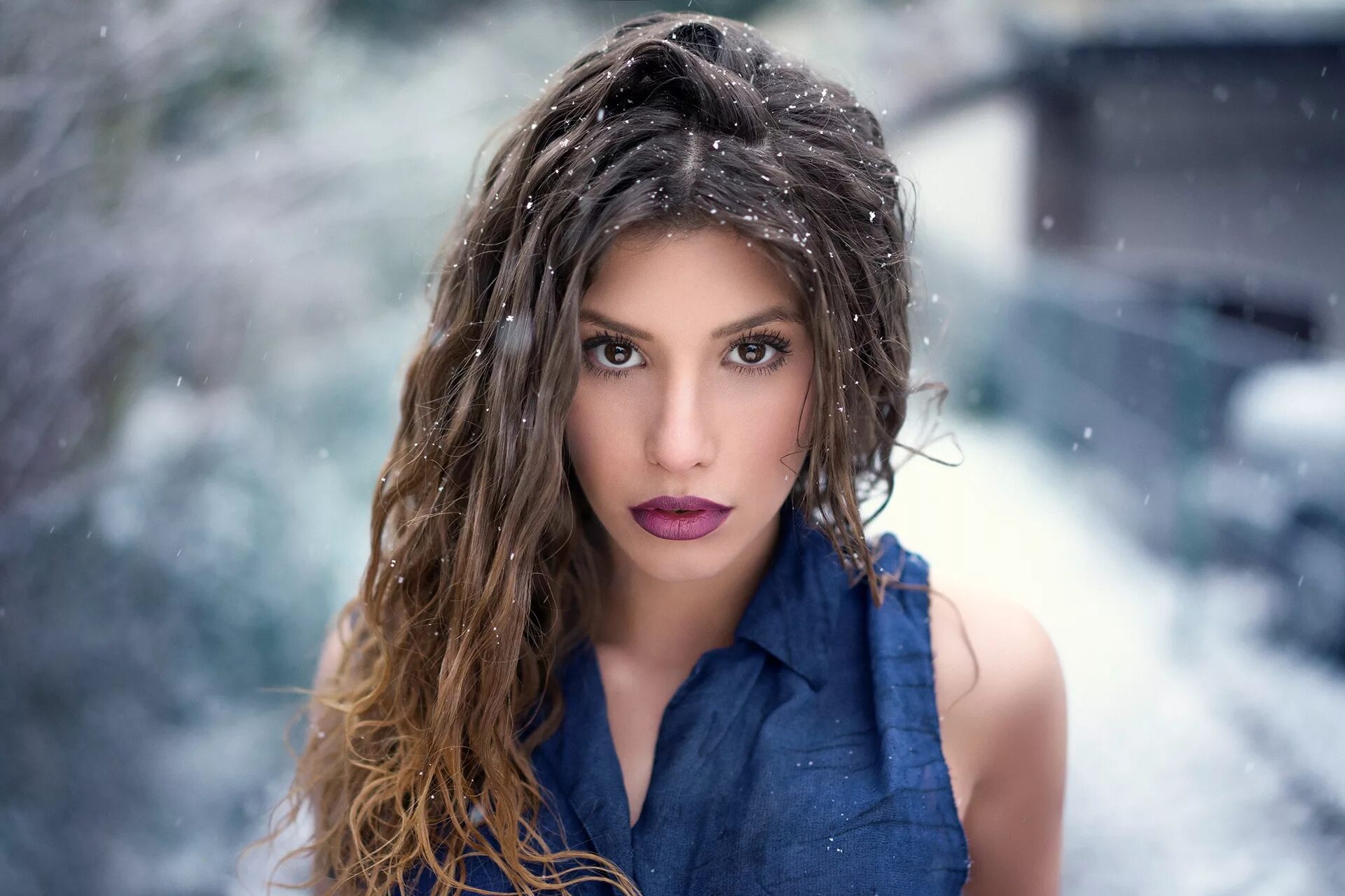 Snow model