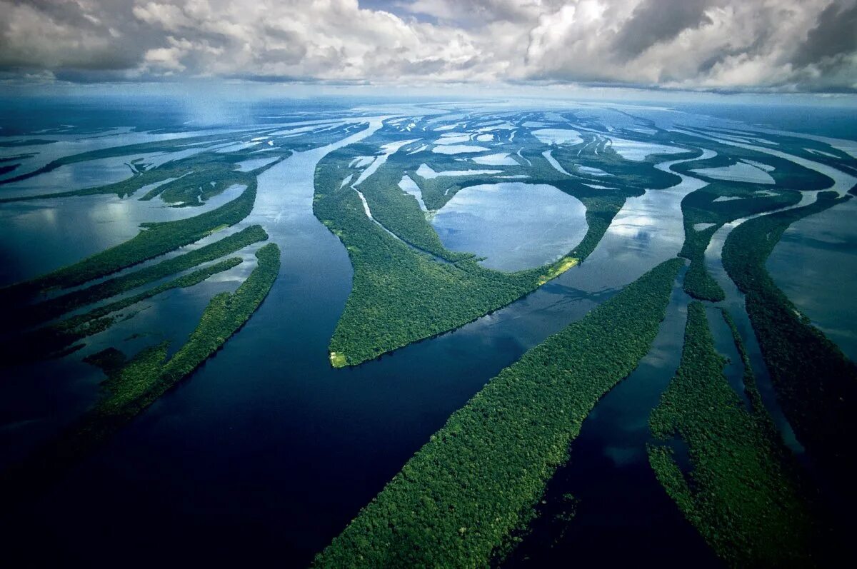 Самая большая экосистема на земле. Южная Америка река Амазонка. Дельта реки Амазонка. Игапо Амазония. Эстуарий реки Амазонка.