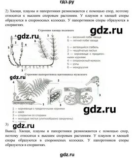 Биология 7 класс пасечник с ракушкой