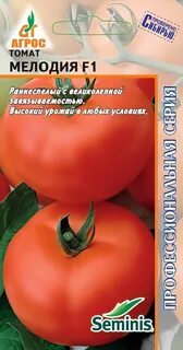 В заказе: 10 пачек Очень ранний индетерминантный крупноплодный томат для св...