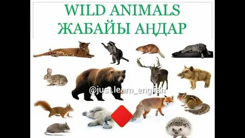 Жалаңаш қара әйелдер мен қарттар