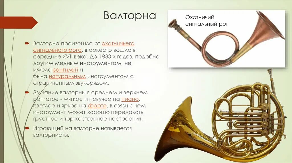 медно-духовые инструменты симф. инструменты медно духовой группы симфонического оркестра. группа духовых инструментов симфонического оркестра. медные духовые инструменты симфонического оркестра. группа духовых инструментов симфонического оркестра.