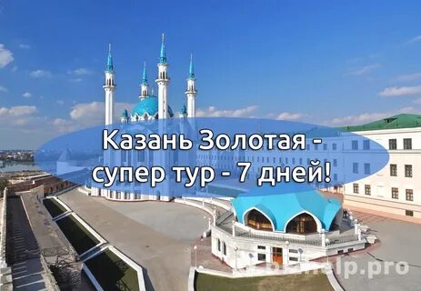 Экскурсии из питера на 1 день