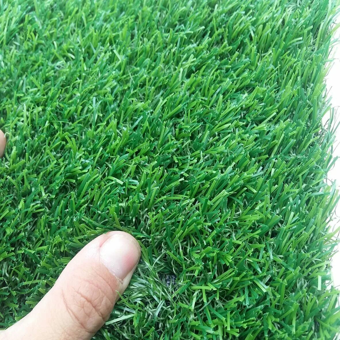 Geolia газон. газон 125hiab. газонная трава в саду. газон где можно ходить 7 букв. микроклевер пиполина для газона.