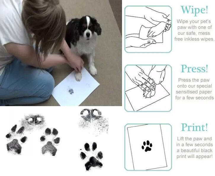 Pet paw. Pet Paw Prints. Paw Print Kit. Лапы принт крафт. Native Pet набор для создания отпечатков лап.