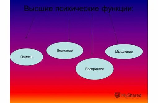 ПАМЯТЬ, КАК ВЫСШАЯ ПСИХИЧЕСКАЯ ФУНКЦИЯ. НАРУШЕНИЯ