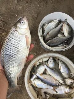 Кигач астраханская область