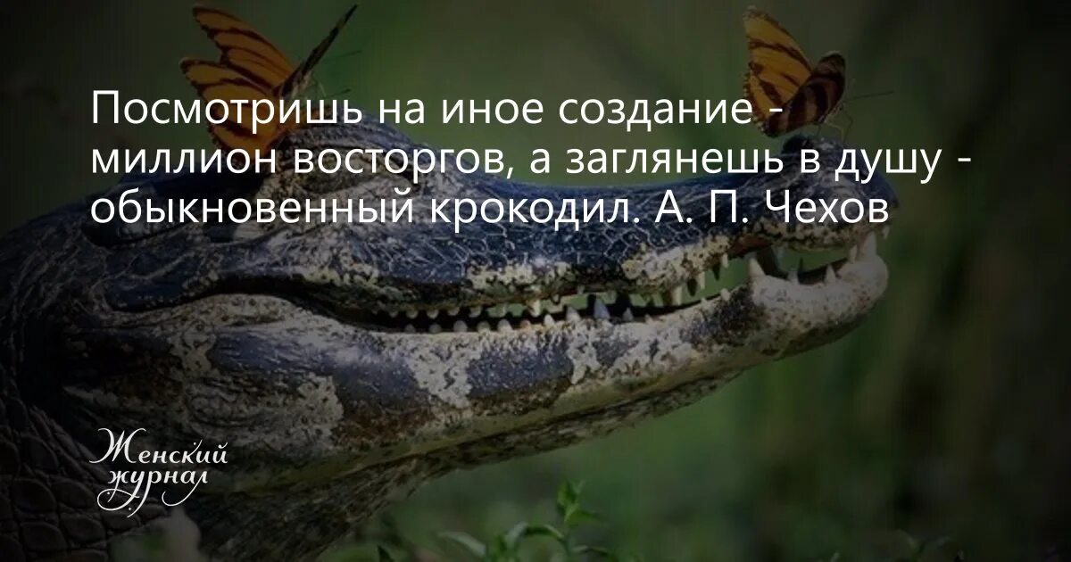 А В душу заглянешь обыкновенный крокодил. А заглянешь в душу обыкновеннейший крокодил Чехов. Посмотришь на иное создание миллион восторгов. Посмотришь на иное поэтическое создание миллион восторгов ....