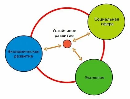 География 10 класс стратегия устойчивого развития оопт
