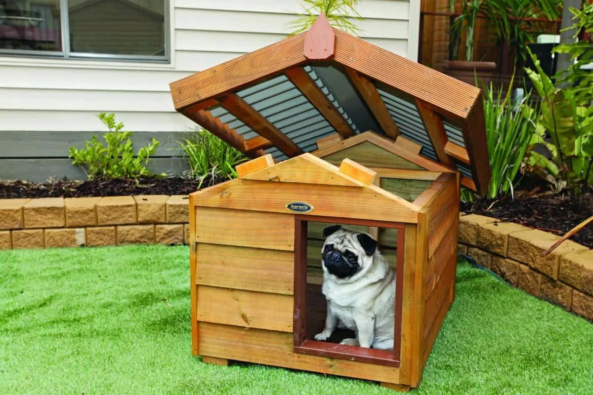 Играть в dog house dogs house net. Собачья конура будка. Будка конура для собаки. Будка для собаки Keter. Необычные собачьи будки.