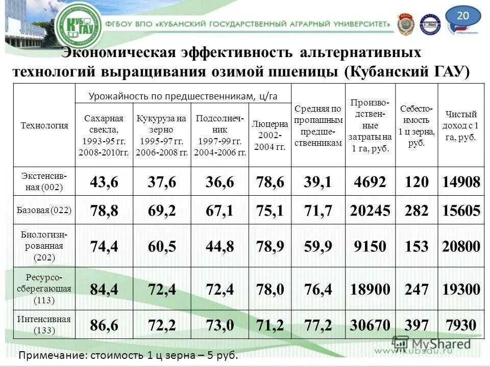 Урожайность озимой пшеницы с 1 га в России. Средняя урожайность пшеницы. Средняя урожайность озимой пшеницы. Урожайность зерновых с гектара. Урожайность 2021