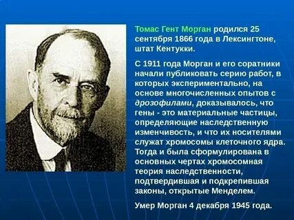 Морган сформулировал