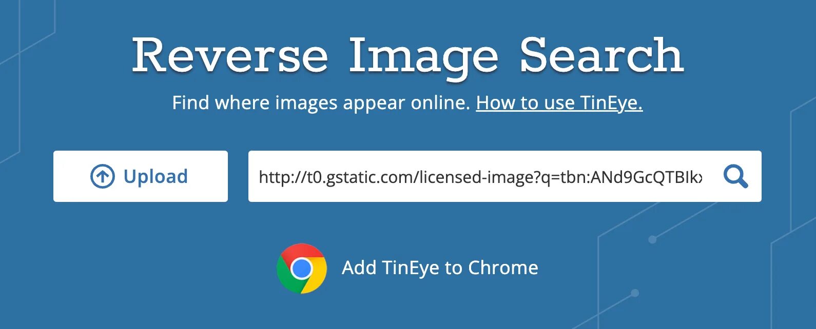 Reverse image search. Тинай поиск по картинке. Best Reverse image search.