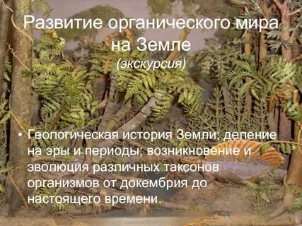Возникновение органической жизни на земле