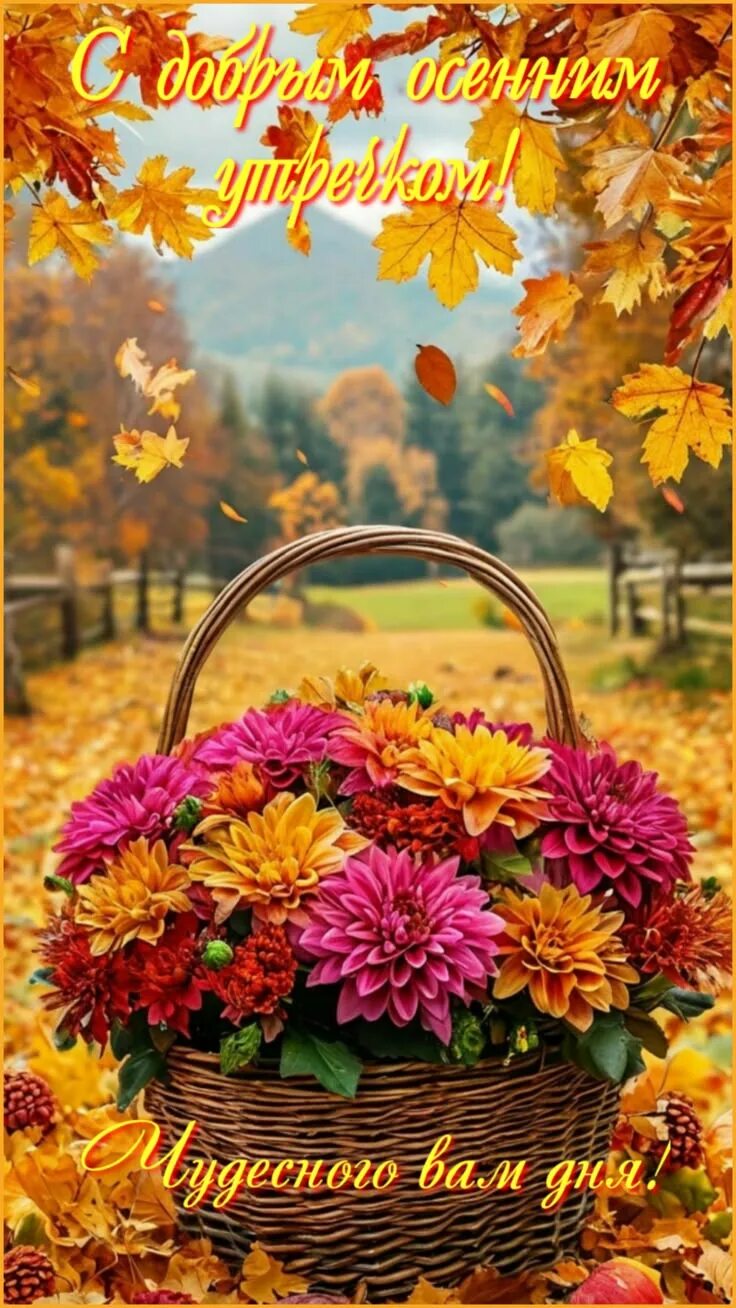Picture background