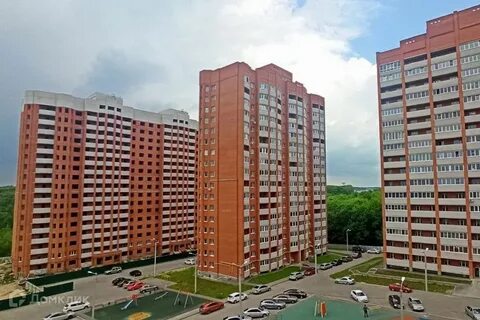 Дуброва 2