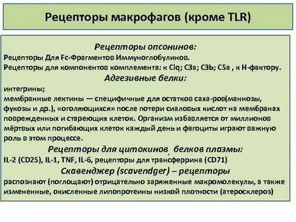 Рецепторы макрофагов