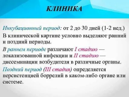Боррелиоз инкубационный период
