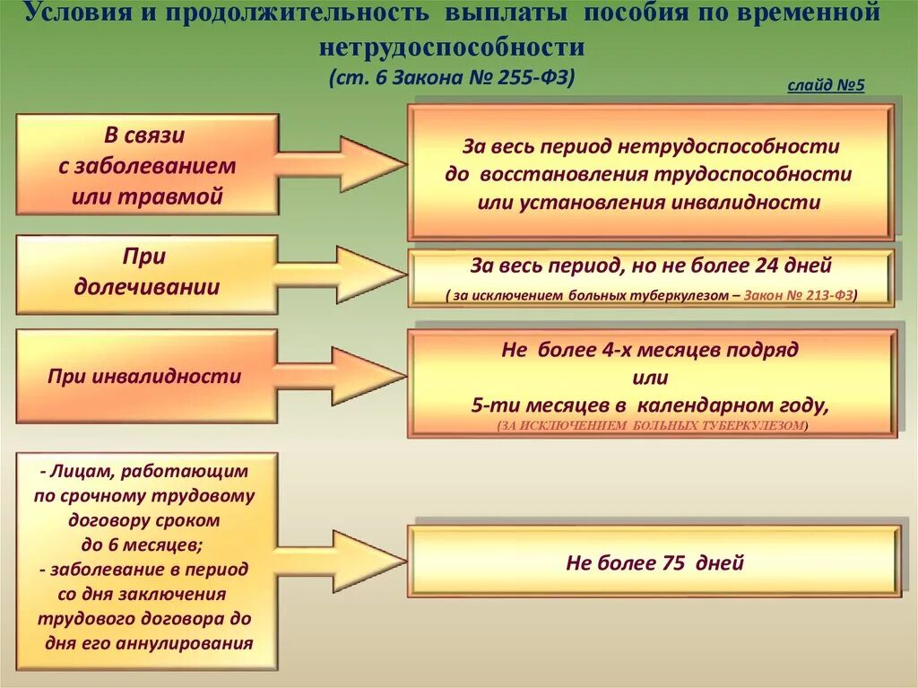 Порядок предоставления пособия по временной нетрудоспособности. Пособие по временной нетрудоспособности схема. Порядок уплаты пособий по временной нетрудоспособности \. Условия и Назначение выплаты по временной нетрудоспособности.