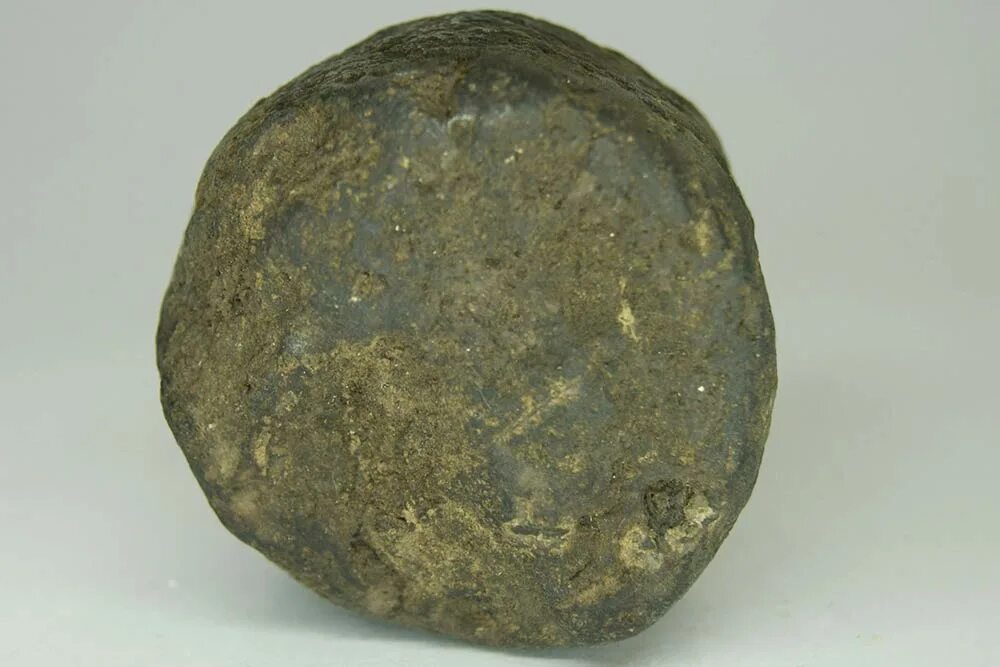 известковая порода 10 букв. известковая порода 10 букв. известь комовая негашеная кальциевая. окаменелый коралл камень. пизолитовый известняк.