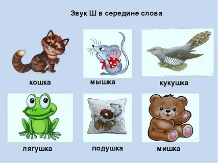 Слова с последней буквой ш