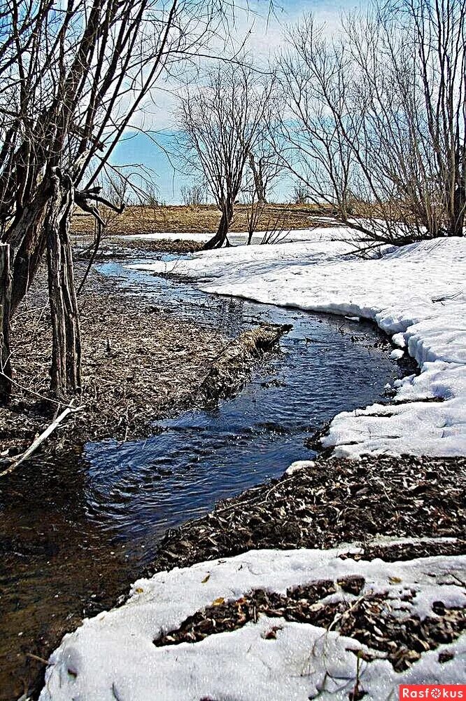 говорливый ручей. река пидан. говорливые ручейки. хинганский родник комаров. говорливые ручейки.