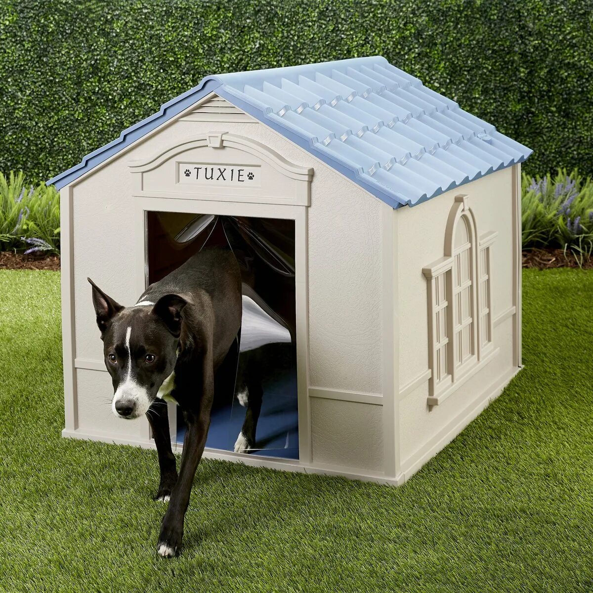 Kennel meaning. Dog House.