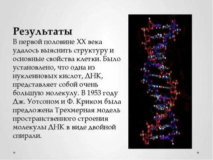 Почему туту