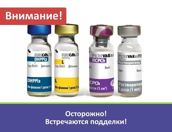 Купить вакцину эурикан в москве. Eurican dhppi2. Вакцина Эурикан dhppi2-LR. Прививка для собак Эурикан схема. Эурикан для собак Берингер.