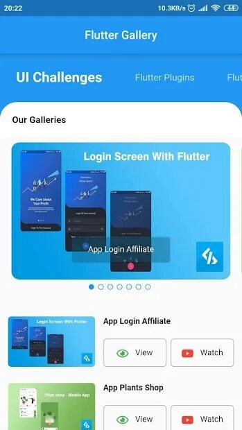 Flutter 2025. Flutter gallery app.