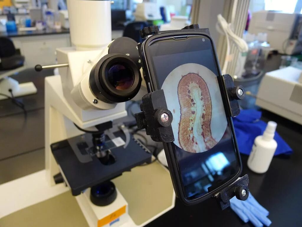 Microscope camera