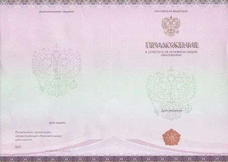 Основное общее образование документ