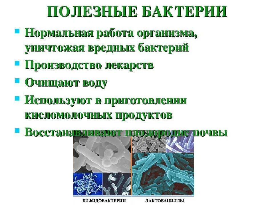 Вредные бактерии для человека 3 класс. Чем полезны бактерии. Полезные и вредные бакт. Полезные бактерии и вредные бактерии.