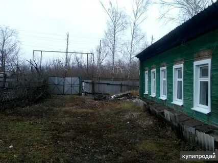 Погода петровка борский самарская область