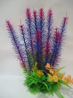 Plant z
