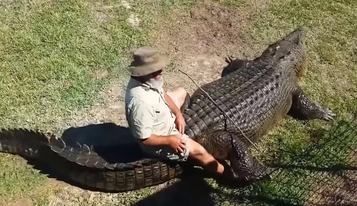 Ловля крокодилов
