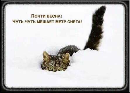 Посмеялся сам - поделись с другом!!!