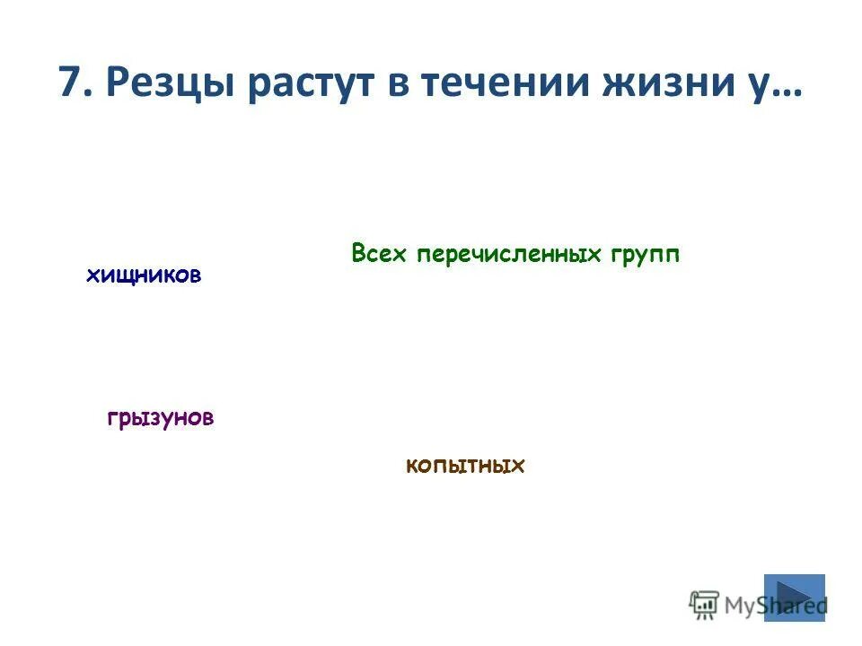 Тест по теме млекопитающие 8 класс