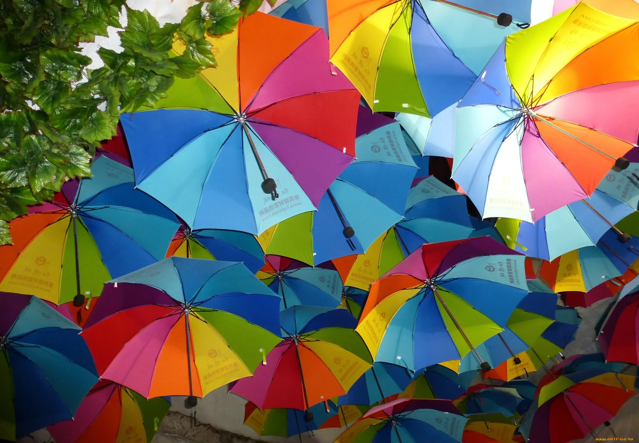 Разноцветные зонтики. Зонт радужные. Разноцветный зонт. Зонтики яркие. Яркий зонтик