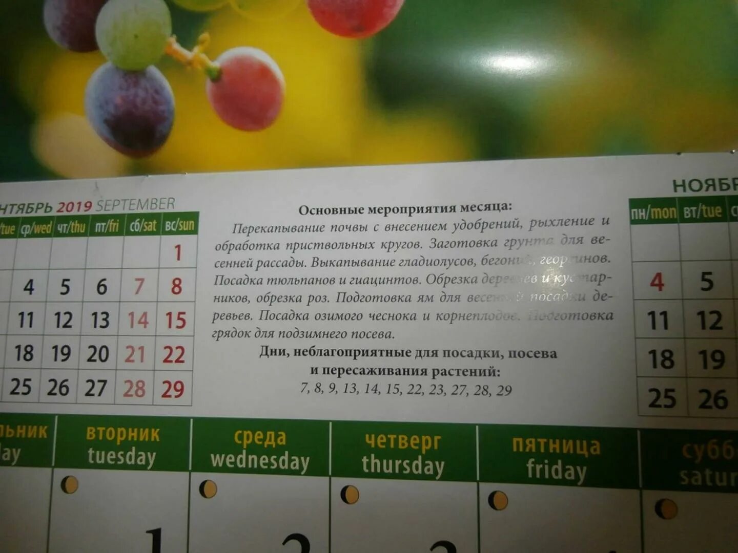 Лунный календарь солить капусту февраль 2024. Лунный календарь 2022 года по месяцам. Благоприятные дни для посадки томатов. Аргументы и факты лунный календарь. Какой сегодня лунный день.