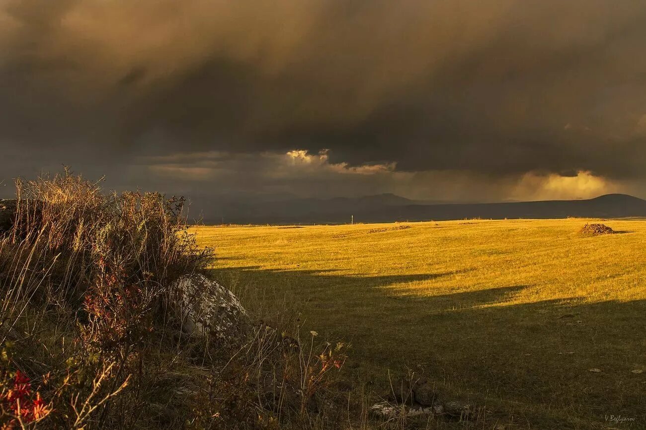 Лето в степи. Темное поле. Гроза в степи. Грозовое небо. Поле перед дождем.