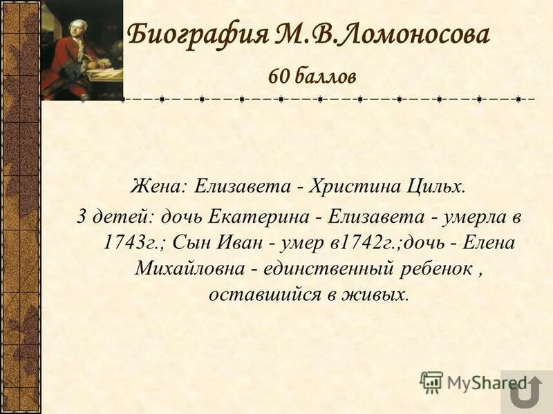 жена ломоносова биография