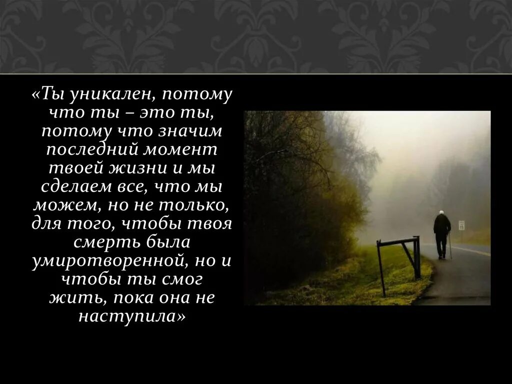 Хошизуна но хама. Почему мем хомяк. Песок на японском пляже хошизуна-но-хама. Счастье это скучно. Потому что это уникально.