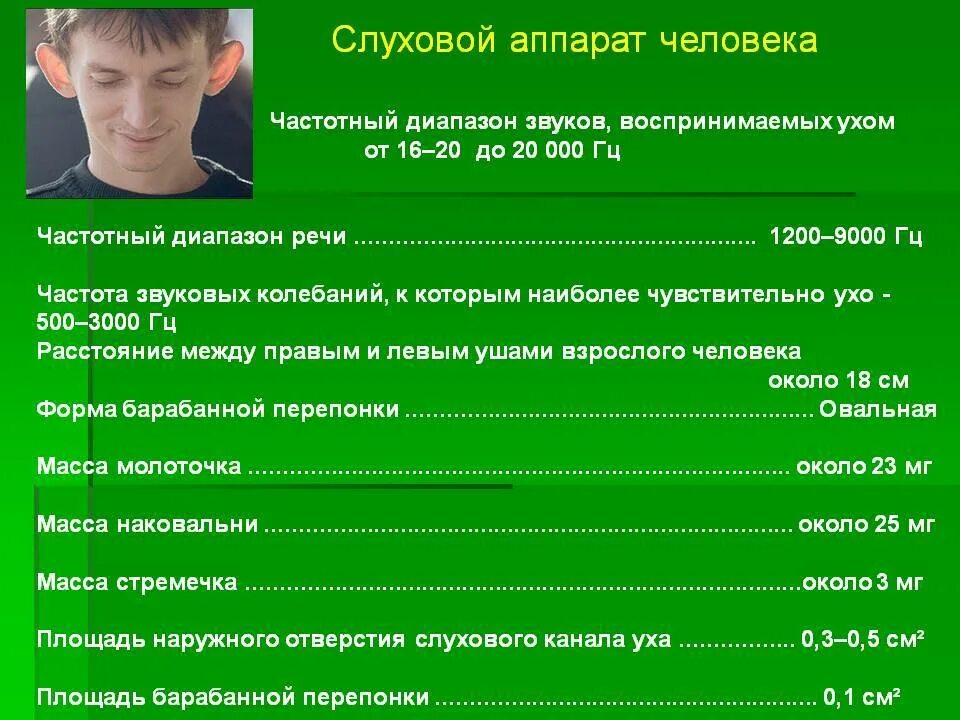 Какие частоты воспринимает человек. Диапазон слуха человека. какие частоты слышит человек. диапазон слуха человека в герцах. частота звука речи человека.