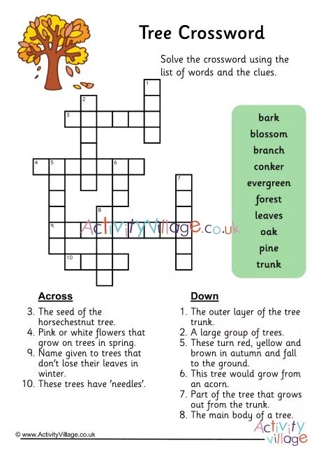 Solve the crossword