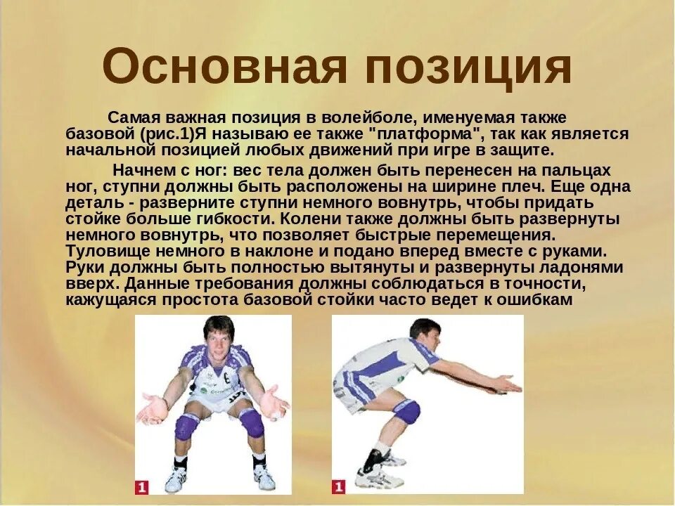 Игрок в волейболе в 3 зоне. Позиции в волейболе. Игроки в волейболе. Позиции игроков в волейболе. Основная позиция в волейболе.